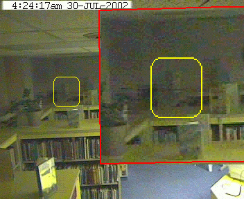 image.gif